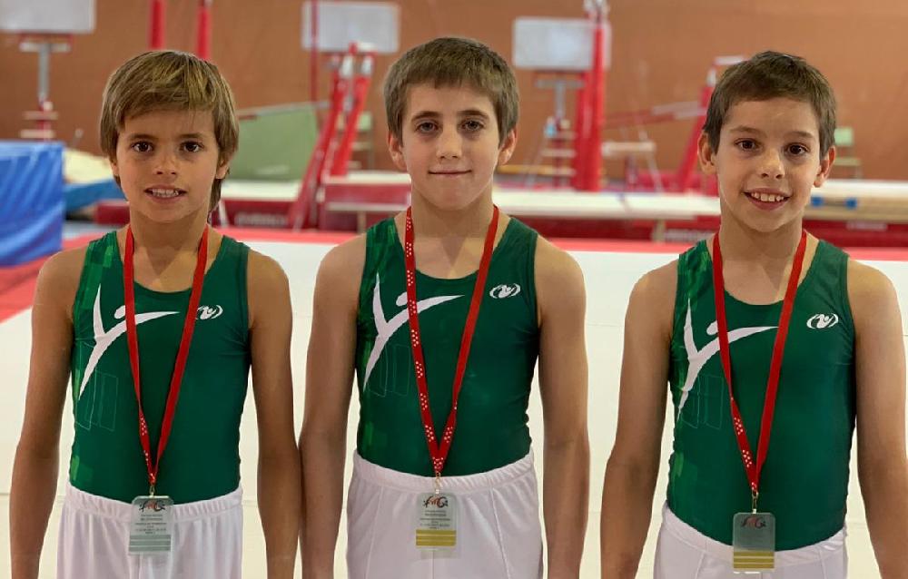 Imagen El Club Escuela Municipal de Gimnasia Majadahonda es referencia a nivel autonómico en las categorías de base
