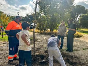 Imagen Escolares de 5º de Primaria plantan nuevos árboles en el Parque Cerro del Aire de Majadahonda para mejorar el medioambiente urbano