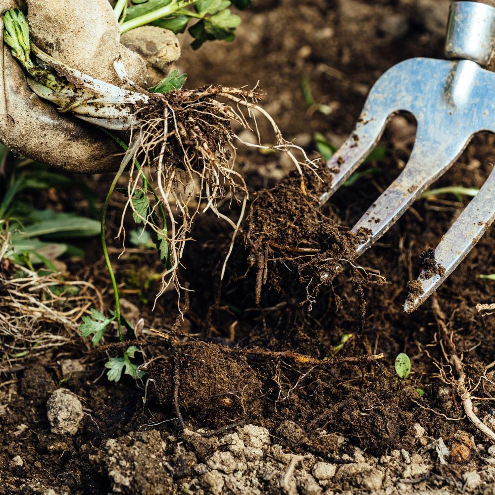 Imagen El Ayuntamiento pide la colaboración de los majariegos para minimizar el riesgo de incendios