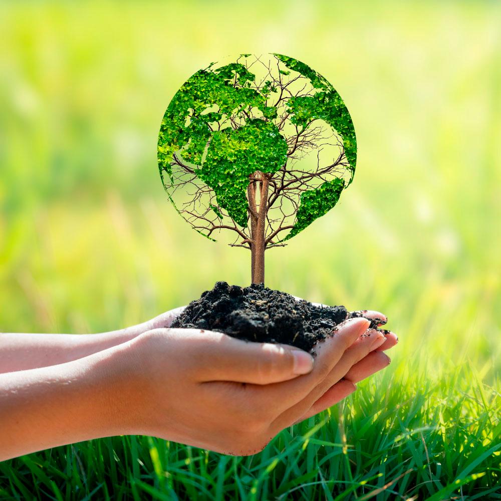 Imagen Majadahonda organiza una jornada festiva, con talleres y espectáculos, para celebrar el Día Mundial del Medio Ambiente