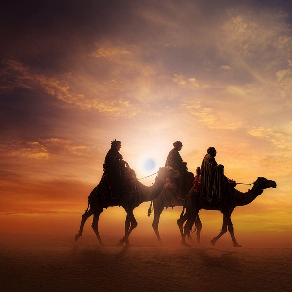 Imagen Los Reyes Magos visitarán Majadahonda cargados con 8 toneladas de caramelos, 27.000 luces led, música y mucha ilusión para todos