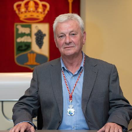 Manuel Fort Hernández (Legislatura 2019-2023)