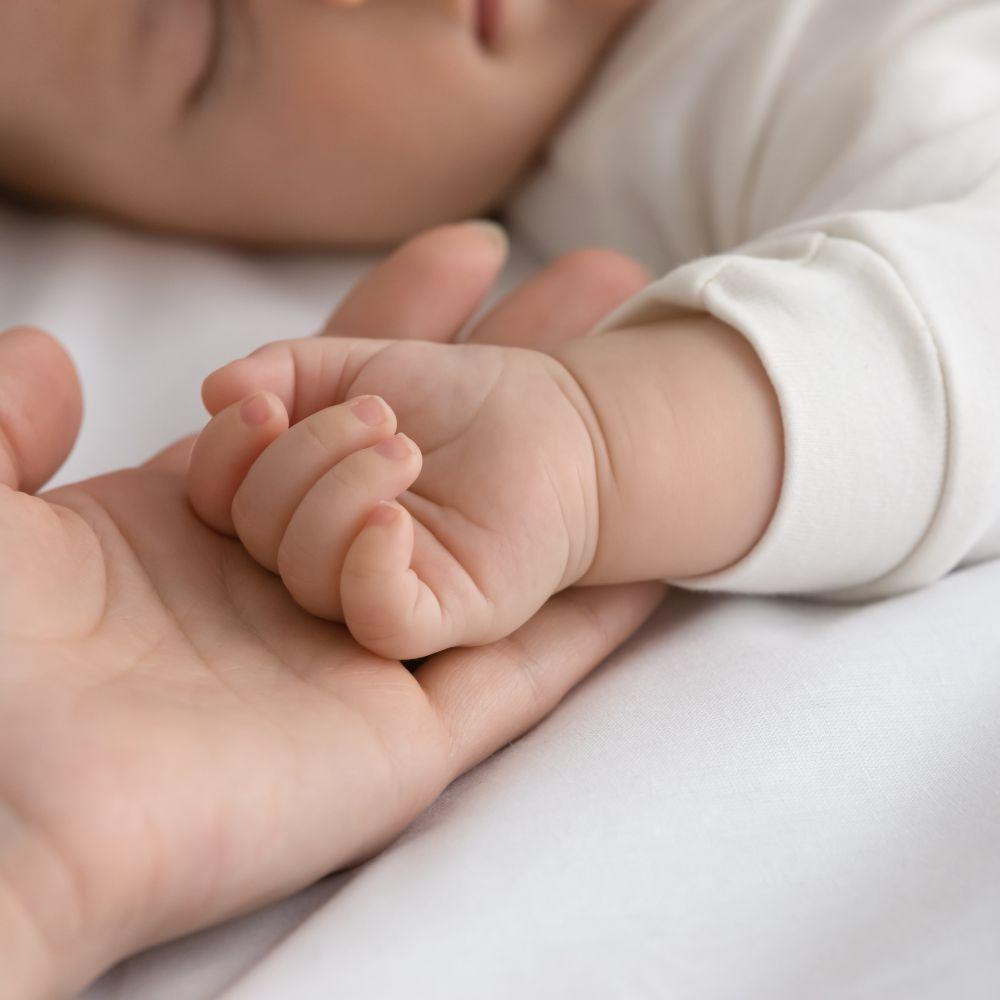 Imagen 367 familias majariegas recibirán en las próximas semanas la ayuda por nacimiento o adopción del Ayuntamiento  