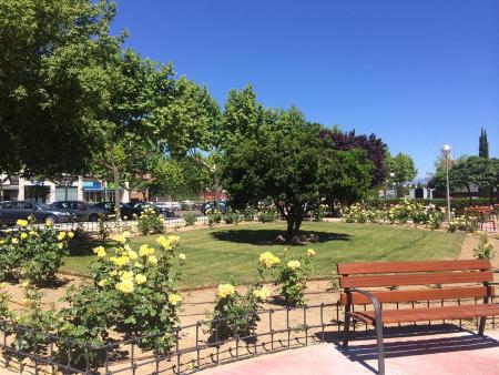 Imagen rosaledavictimasterrorismo