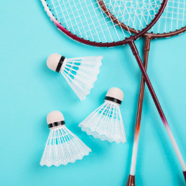 Imagen Normativa Badminton Escolar