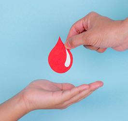 Imagen Dona Sangre, Ilumina Vidas