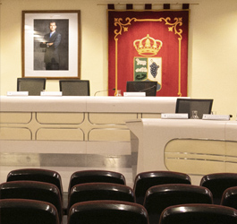 Imagen Retransmisión de Juntas de Gobierno Local Públicas (YouTube)