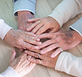 Imagen Cursos de corta duración (trimestrales)