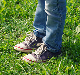 Imagen Día del Medioambiente - Recorrido guiado por el Monte del Pilar