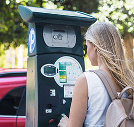 Imagen Zona de Estacionamiento Regulado