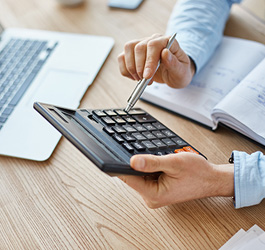 Imagen Ejecución del presupuesto de ingresos